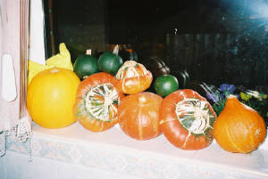 squashes.jpg
