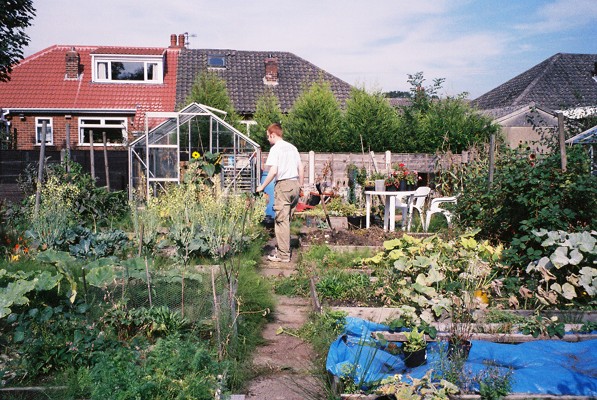 allotment.jpg