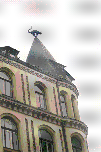catonroof.gif